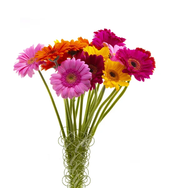 Bunch Assorted Gerbera Flowers Awhite Background — Stock Photo, Image