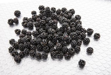 Taze el aldı böğürtlen pattened gümüş tepside