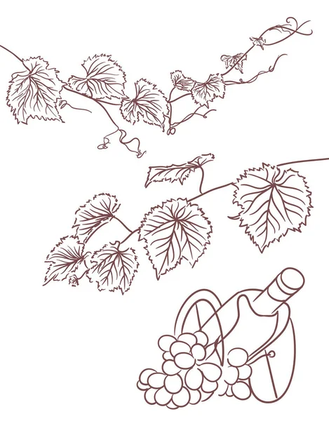 葡萄藤叶设计元素 瓶子和葡萄 — 图库矢量图片