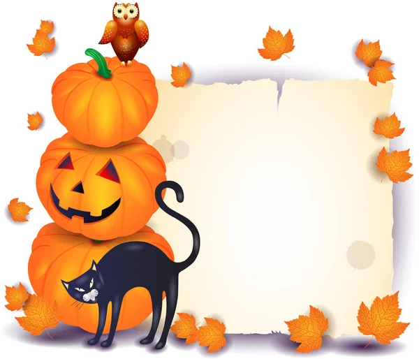 Halloween Skylt Med Pumpor Och Katt Med Owl Isolerad Vit — Stock vektor
