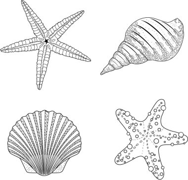 Stilize vektör kabuk zentangle doodle. Vektör çizim 