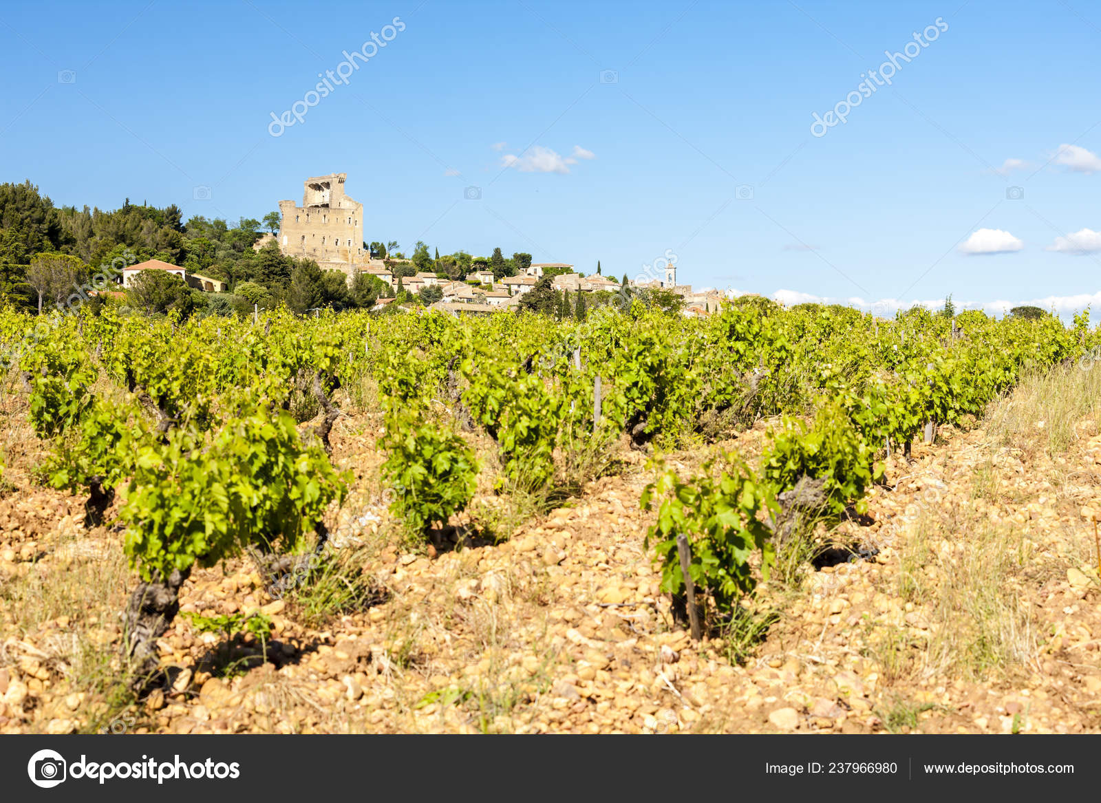Vineyards Chateauneuf Pape Provence France Stock Photo By C Phb Cz