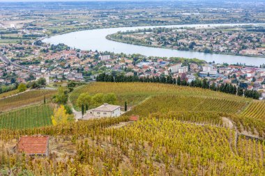 Rhona bölgesinde, Fransa sonbahar üzüm bağları