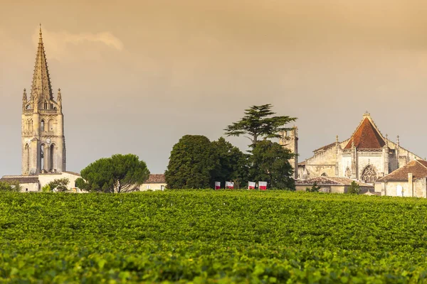 Wijngaarden Bij Saint Emilion Bordeaux Francie — Stockfoto