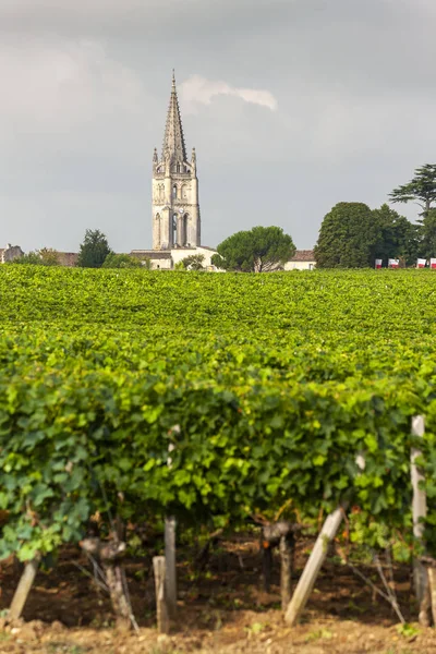 Saint Emilion Bordeaux Francie Yakınlarındaki Üzüm Bağları — Stok fotoğraf