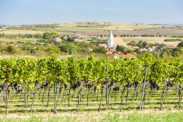 捷克共和国Znojmo地区Hnanice和葡萄园 — 图库照片
