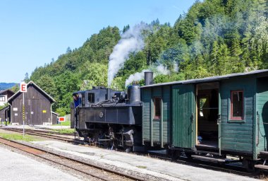 buharlı tren, Lunz am See, Lower Austria, Avusturya