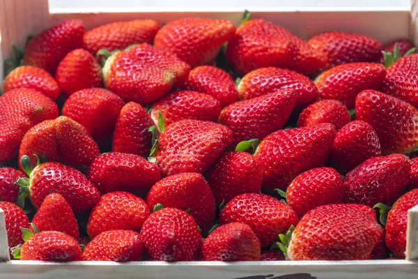 Nahaufnahme Von Frischen Roten Erdbeeren — Stockfoto