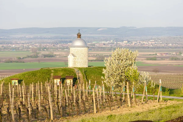 チェコ共和国に Bilovice の近くのブドウ畑とチャペル — ストック写真