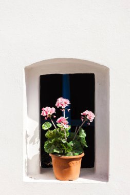 şarap mahzenleri, petrov - plze, Çek Cumhuriyeti