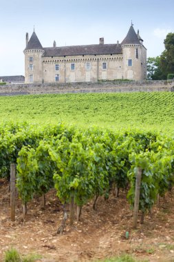 Üzüm bağı olan Chateau de Rully, Burgundy, Fransa