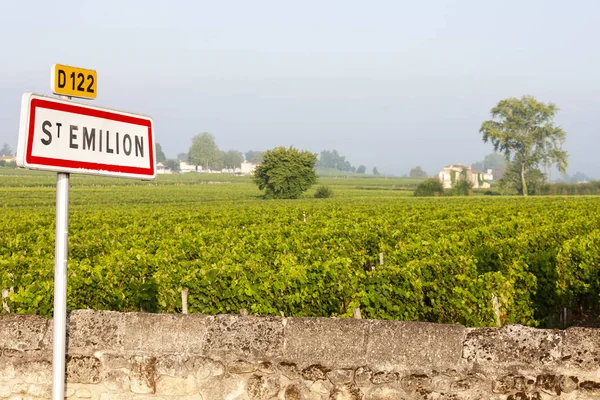 Vineyards Saint Emilion Bordeaux Francie — Stock Photo, Image