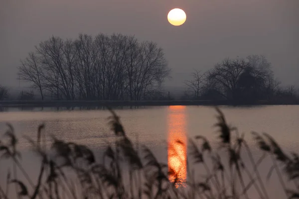 Sunrice Jaroslavice Pond Czech Republic — Stock Photo, Image