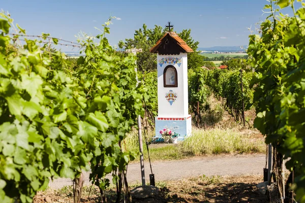 God's torture with vineyard near Nechory, Czech Republic — Stock Photo, Image