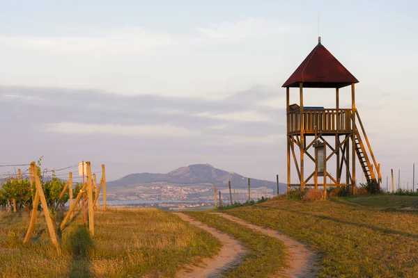 Lookout tower Starovicky, Mähren region, Tjeckien — Stockfoto