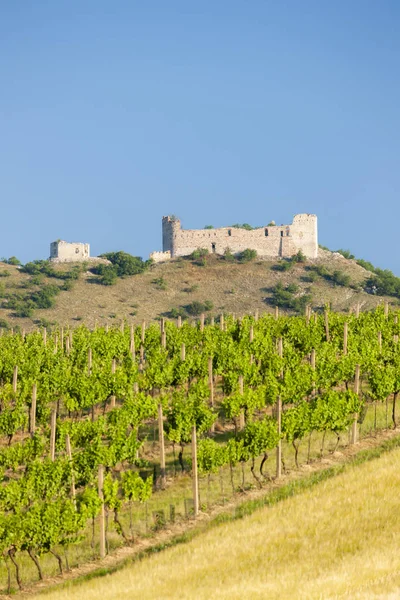 Виноградники, замок Devicky, Палава, Моравия области, Чешская Республика — стоковое фото
