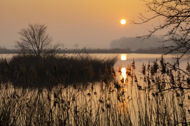gündoğumu üzerinde Jaroslavice gölet, Çek Cumhuriyeti