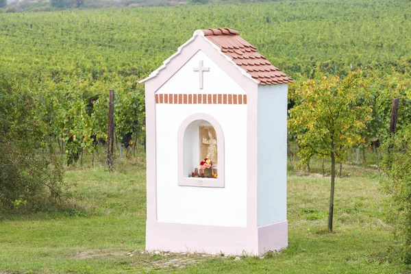 Vineyards, Znojmo region, Czech Republic — Stock Photo, Image