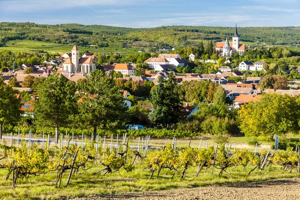 Weinberg und Pulkau, Österreich — Stockfoto