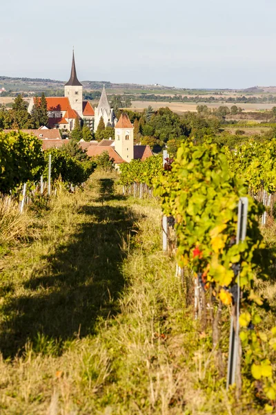 Viñedo y Pulkau, Austria —  Fotos de Stock