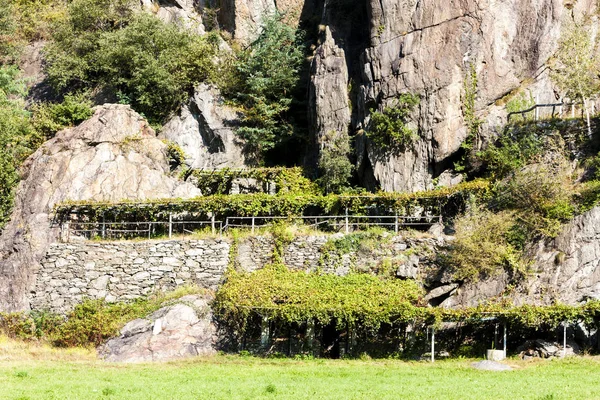 Weinberg, Valle d 'Aosta, Italien — Stockfoto