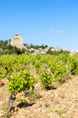 Chateauneuf-du-Pape yakınlarındaki üzüm bağları, Fransa