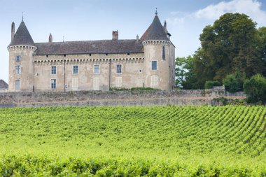 Üzüm bağı olan Chateau de Rully, Burgundy, Fransa