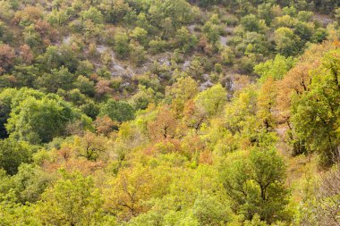Rocamadour yakınlarındaki manzara, Bölüm Lot, Fransa