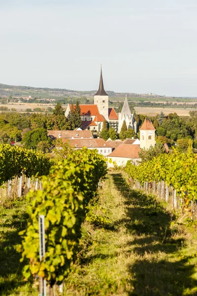 Vineyard and Pulkau, Austria — Stock Photo, Image