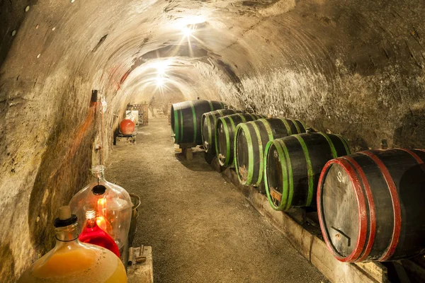 Wine cellar, Moravia, Czech Republic — Stock Photo, Image