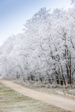 Kış manzarası, Moravya bölgesi, Çek Cumhuriyeti