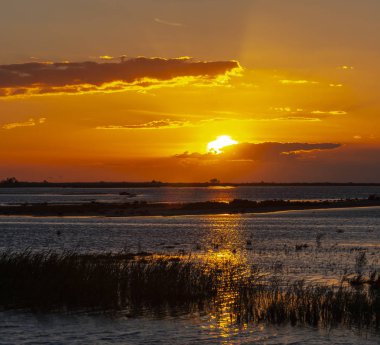 Camargue, Provence, Fransa