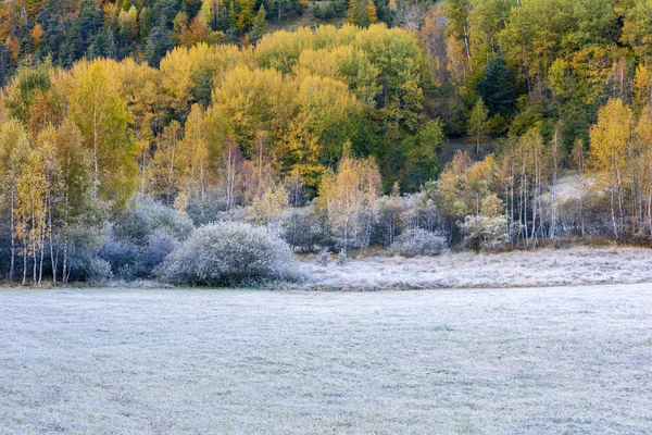 Autumn landscape in Provence, France — Stock Photo, Image