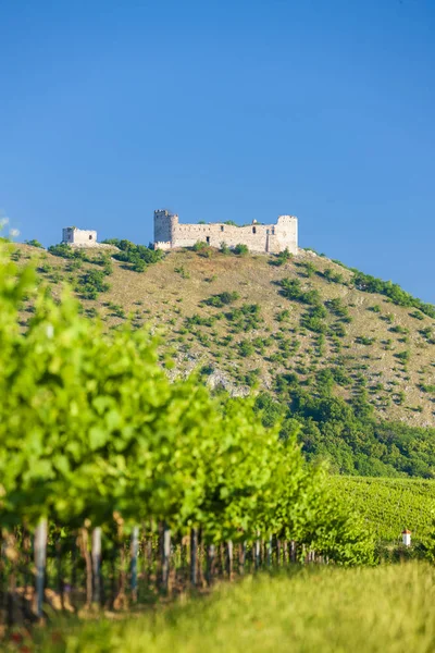 Vigneti, castello Devicky, Palava, Moravia, Repubblica Ceca — Foto Stock