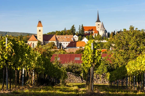 Weinberg und Pulkau, Österreich — Stockfoto