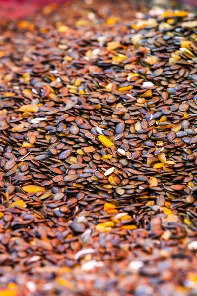 Colheita de sementes de abóbora — Fotografia de Stock