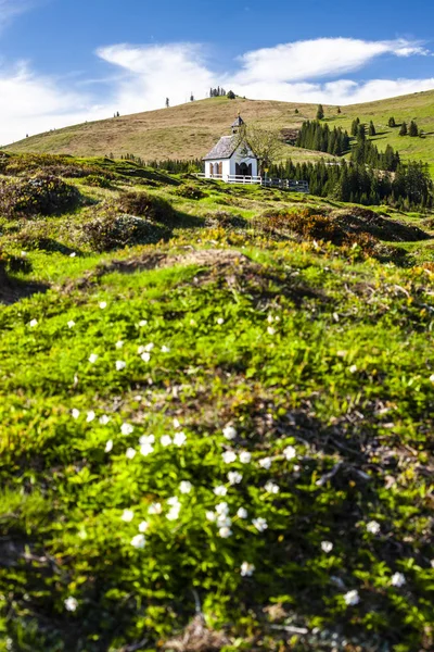 Rakouské Alpy u Postalmu, Horní Rakousko, Rakousko — Stock fotografie