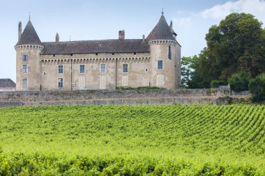 Üzüm bağı olan Chateau de Rully, Burgundy, Fransa