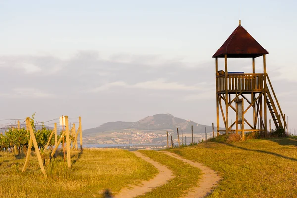 Lookout tower Starovicky, Mähren region, Tjeckien — Stockfoto