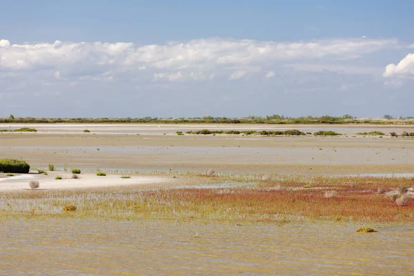 Camargue, Provence, França — Fotografia de Stock