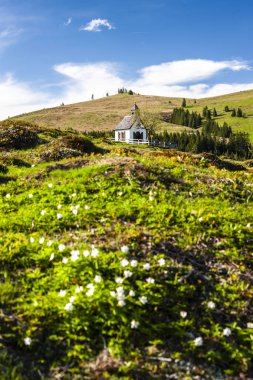 Avusturya Alpleri Postalm, Yukarı Avusturya, Avusturya