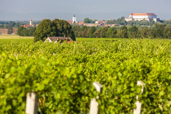 Winnice, zamek Siklos, Węgry — Zdjęcie stockowe