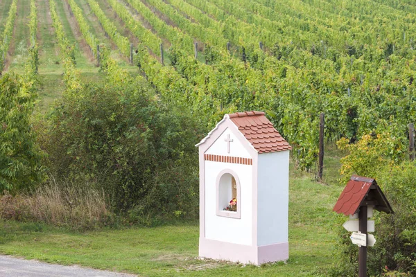 Vinhas, região de Znojmo, República Checa — Fotografia de Stock