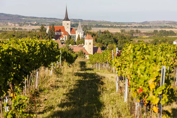 Kebun anggur dan Pulkau, Austria — Stok Foto