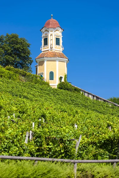 Schloss Stainz und Weinberg, Steiermark, Österreich — Stockfoto