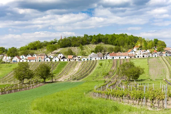 Vinkällare med vingårdar, Galgenberg, Niederösterreich, Österrike — Stockfoto