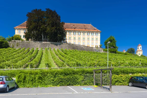 Castello e vigneto, Stiria, Austria — Foto Stock