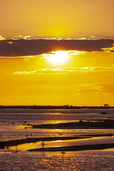 Camargue, Provence, França — Fotografia de Stock