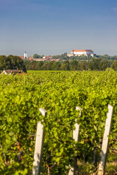 Виноградники, силос замок, Угорщина — стокове фото