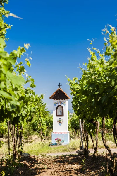 God's torture with vineyard near Nechory, Czech Republic — Stock Photo, Image